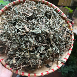 Lá Hương Nhu Khô Tự Nhiên 100% – Gội Đầu, Xông Hơi, Thảo Mộc – Dược Quý Thiên Phúc