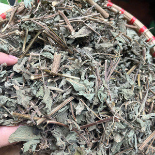 Lá Hương Nhu Khô Tự Nhiên 100% – Gội Đầu, Xông Hơi, Thảo Mộc – Dược Quý Thiên Phúc