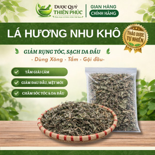 Lá Hương Nhu Khô Tự Nhiên 100% – Gội Đầu, Xông Hơi, Thảo Mộc – Dược Quý Thiên Phúc
