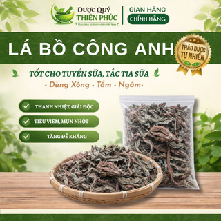 Lá Bồ Công Anh Sấy Khô Tự Nhiên 100% – Pha Trà, Nấu Nước Uống – Dược Quý Thiên Phúc