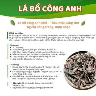 Lá Bồ Công Anh Sấy Khô Tự Nhiên 100% – Pha Trà, Nấu Nước Uống – Dược Quý Thiên Phúc
