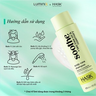 Dầu Gội HASK Tea Tree Oil+Rosemarry Chiết Xuất Tràm Trà, Hương Thảo 473ml-Làm Sạch, Kháng Khuẩn, Giảm Gàu Ngứa[34141AC]