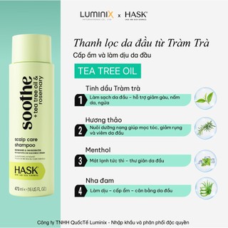 Dầu Gội HASK Tea Tree Oil+Rosemarry Chiết Xuất Tràm Trà, Hương Thảo 473ml-Làm Sạch, Kháng Khuẩn, Giảm Gàu Ngứa[34141AC]