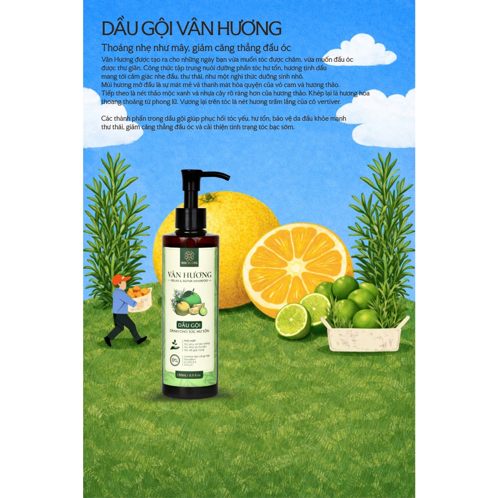 Dầu Gội Thảo Dược Vân Hương - Mộc Hương