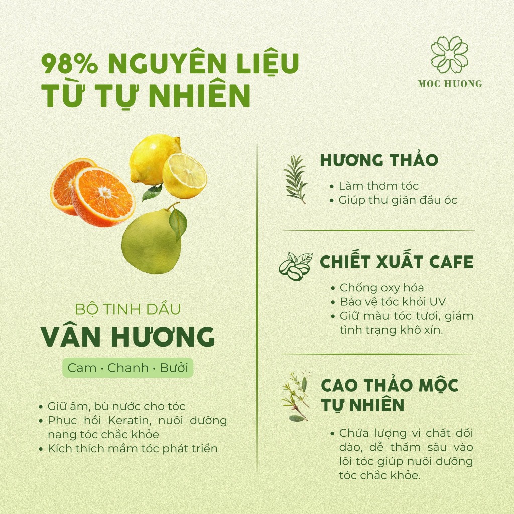 Dầu Gội Thảo Dược Vân Hương - Mộc Hương