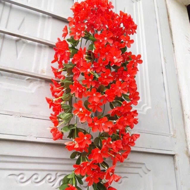 Chùm hoa đỗ quyên dáng rủ treo tường siêu xinh