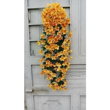 Chùm hoa đỗ quyên dáng rủ treo tường siêu xinh