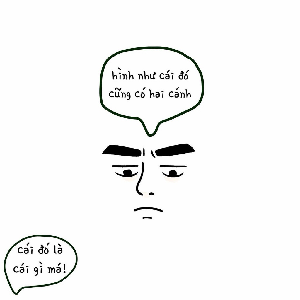 Bông tai lông chim