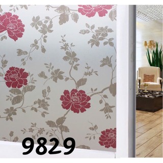 Miếng Dán Kính Hoạt hình T034 Khổ 90x100cm decal giảm sáng trang trí cửa