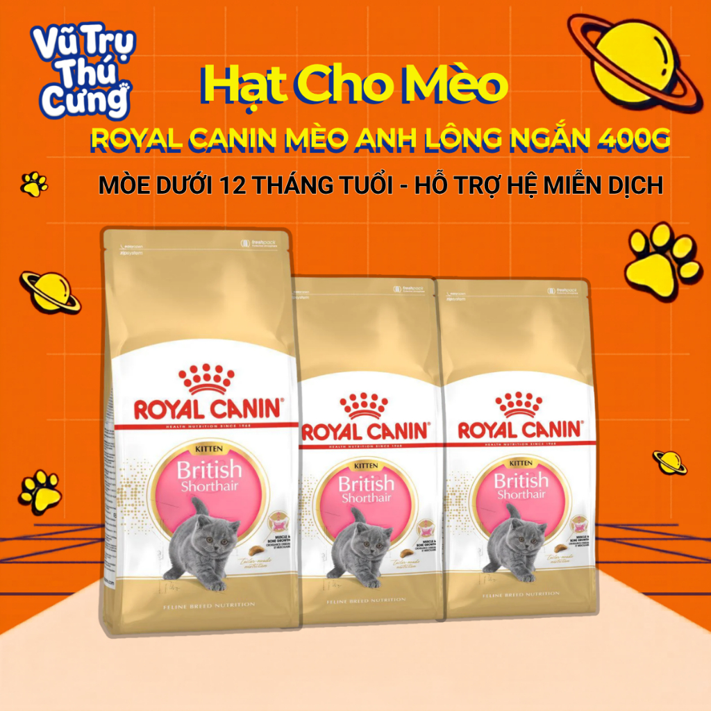 Hạt Royal Canin British Shorthair Kitten Dành Cho Mèo Anh Lông Ngắn 400g