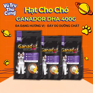 Thức ăn hạt Ganador Puppy Sữa & DHA cho chó con 400g