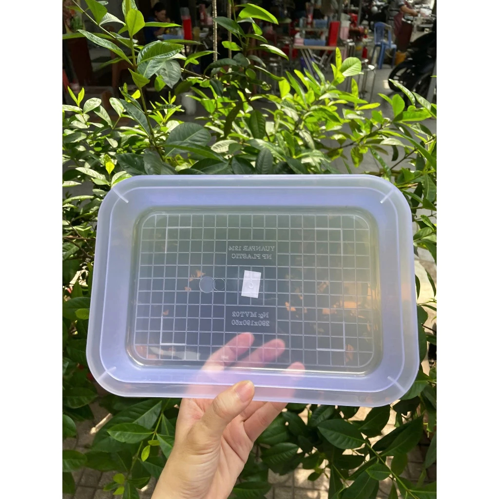 Khay nhựa chữ nhật trong suốt đổ thạch, khay nhựa chịu nhiệt tốt đựng thạch, pudding, khúc bạch, phô mai tươi