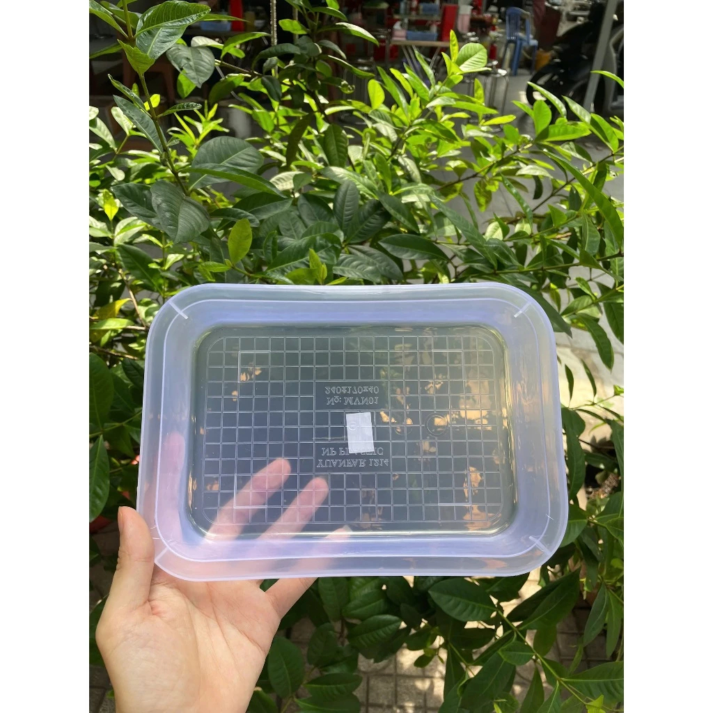 Khay nhựa chữ nhật trong suốt đổ thạch, khay nhựa chịu nhiệt tốt đựng thạch, pudding, khúc bạch, phô mai tươi
