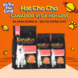 Hạt cho chó trưởng thành Ganador vị cá hồi 400g