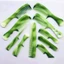SET 10 LƯỢC CHẢI ĐẦU 10 CHI TIẾT