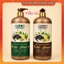 Cặp dầu gội xả PH4 2000ml Bồ Kết Chanh Xả Thảo Dược Phục Hồi Ngăn Tóc Gãy Rụng