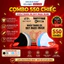 5D Duy Ngọc- Thùng 550 Chiếc Khẩu Trang 3 Lớp Kháng Khuẩn,Chống Bụi Mịn