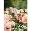 Marvis Secret Rose Toothpaste 75ml Elegant Floral Aroma Fresh Breath Protect Enamel Reduce Stains Gentle Clean Suitable