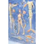 Mô Hình Konami MMS Busou Shinki Wave 5 Ianeira (New Seal)