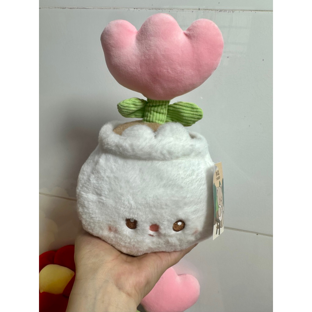 gấu bông chậu hoa, ,chậu hoa gấu bông hình loppy, hoa tulip, hoa đồng tiền, ( ảnh thật) sp new chuẩn QC