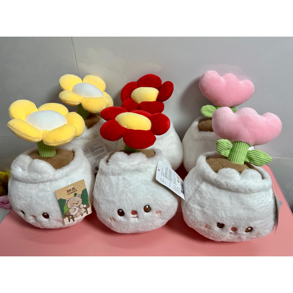 gấu bông chậu hoa, ,chậu hoa gấu bông hình loppy, hoa tulip, hoa đồng tiền, ( ảnh thật) sp new chuẩn QC