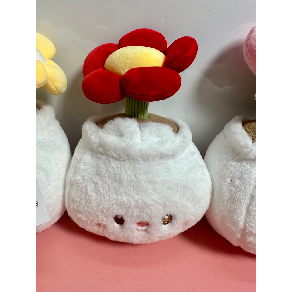 gấu bông chậu hoa, ,chậu hoa gấu bông hình loppy, hoa tulip, hoa đồng tiền, ( ảnh thật) sp new chuẩn QC