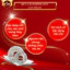 Yến Thô Siêu Ít Lông Già Gân Siêu Vip - Yến Chi - Tổ Yến Thô