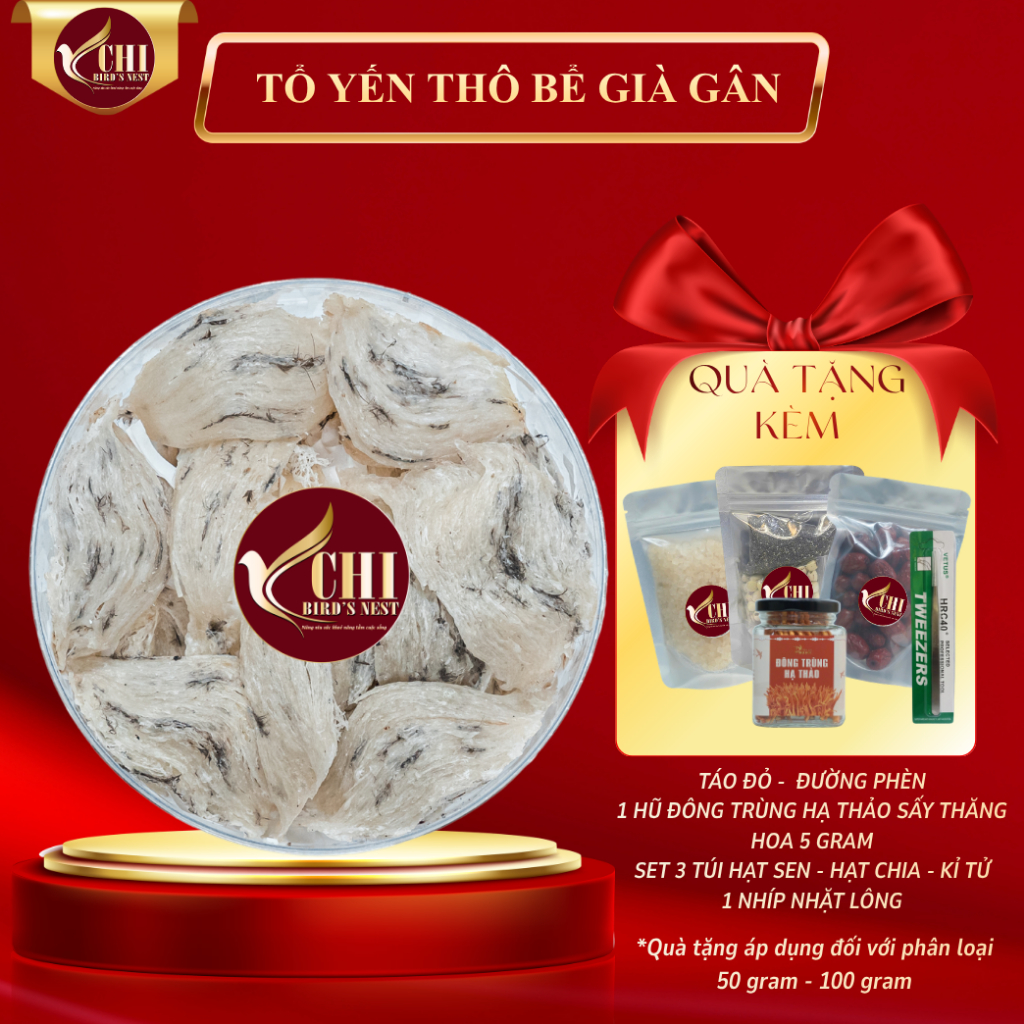 Yến Thô Bể Lớn Già Gân (Kèm Đồ Chưng) - Yến Chi - Yến Thô