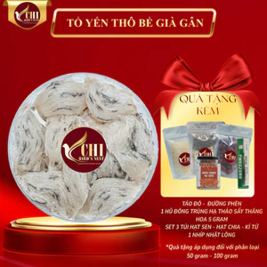 Yến Thô Bể Lớn Già Gân (Kèm Đồ Chưng) - Yến Chi - Yến Thô