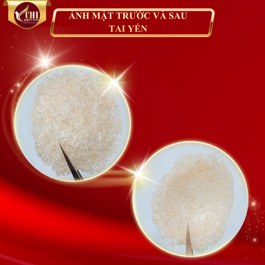 Tổ Yến Vụn Xơ Đắp Tổ (Kèm Nguyên Liệu Chưng) - Yến Chi - Yến Tinh Chế YETC 002
