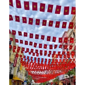 CỜ DÂY TREO TRANG TRÍ VẢI PHI BÓNG 1 MẶT - 10 MÉT