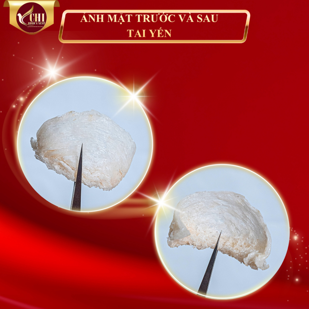 Yến Rút Lông Khô Nguyên Tổ Nguyên Chất 100% - Dòng Yến Cao Cấp - Yến Chi