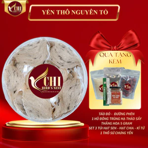 Yến Thô Nguyên Tổ Ít Lông (Kèm Đồ Chưng) - Yến Chi - Yến Thô