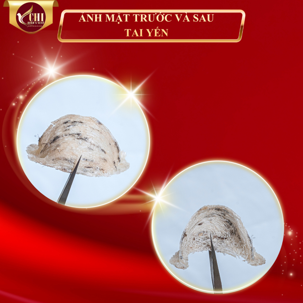 Tổ yến thô cao cấp 10gram - Yến Sào Yến Chi