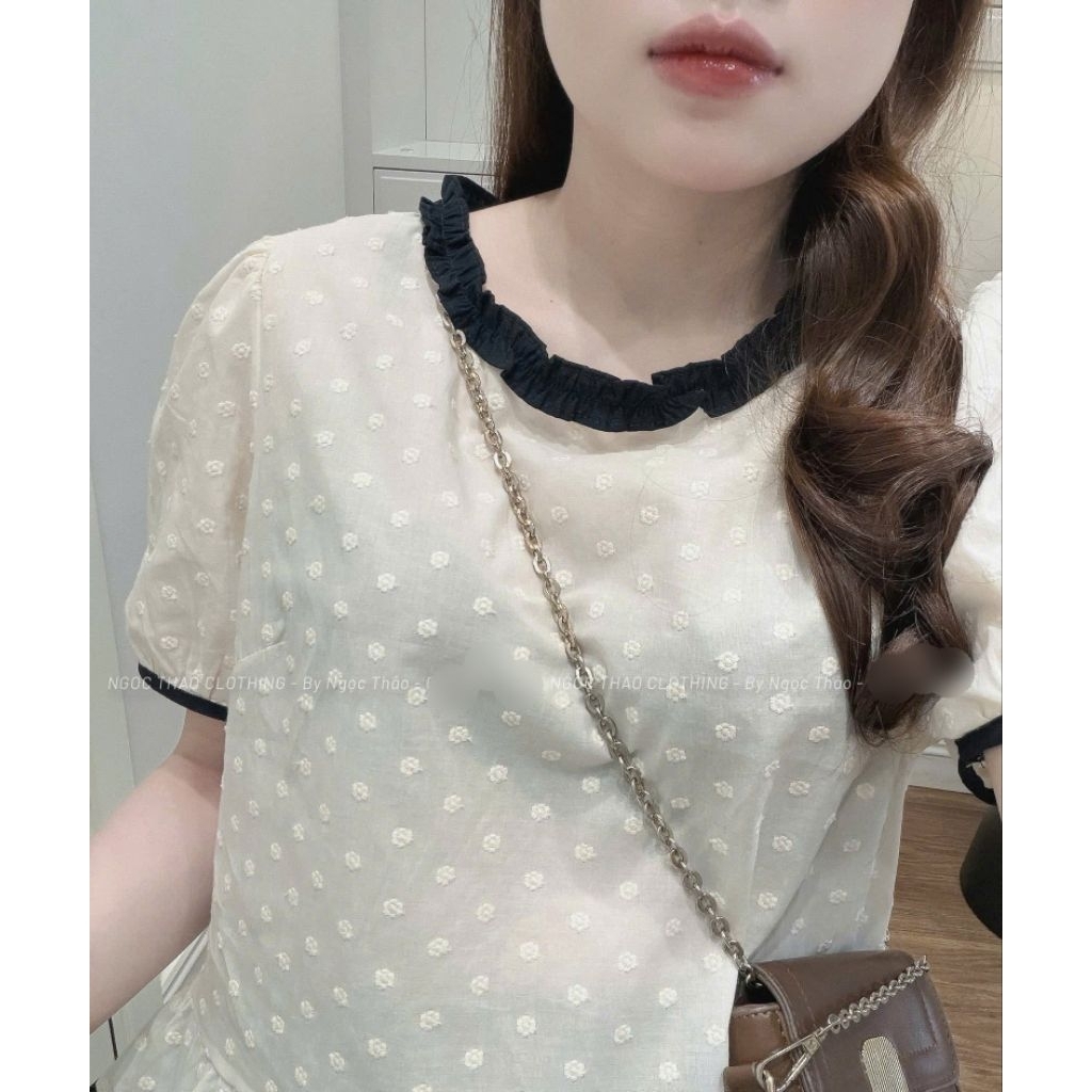 [𝑯𝒂 𝑨𝒏𝒉] Áo Sơ Mi Cộc Cổ Tròn Phối Cổ QCL1
