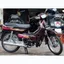 Cốp Dream Lùn, Dr III màu nho