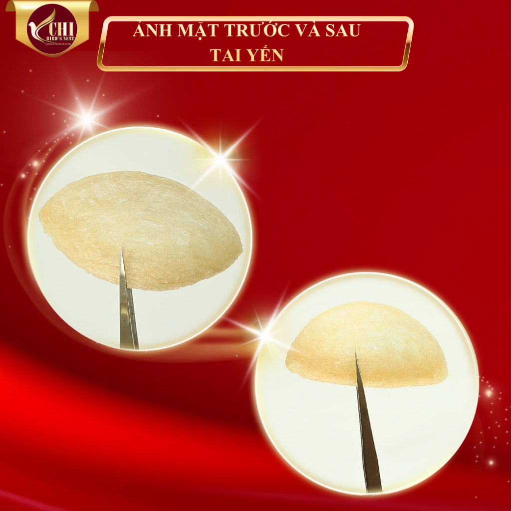 Tổ Yến Sào Rút Lông Định Hinh Xuất Khẩu Nguyên Chất 100% - Dòng Yến Cao Cấp - Yến Chi