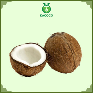 1 Trái Dừa khô nguyên trái gọt vỏ sẵn Kacoco - lấy nước cốt dừa, làm mứt, làm bánh, nấu ăn chủ động rất ngon