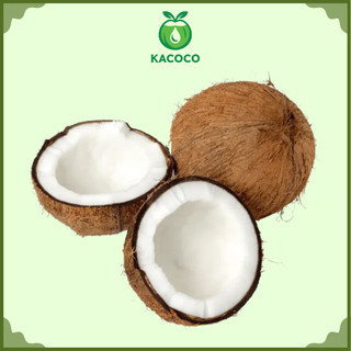 1 Trái Dừa khô nguyên trái gọt vỏ sẵn Kacoco - lấy nước cốt dừa, làm mứt, làm bánh, nấu ăn chủ động rất ngon
