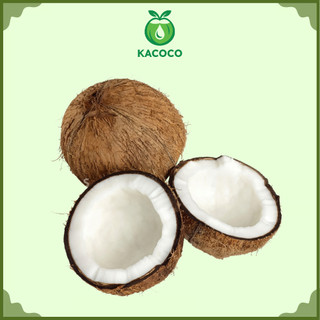 1 Trái Dừa khô nguyên trái gọt vỏ sẵn Kacoco - lấy nước cốt dừa, làm mứt, làm bánh, nấu ăn chủ động rất ngon