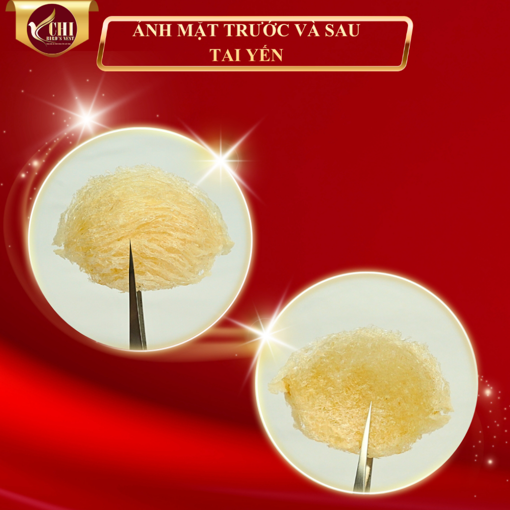 Yến Sào Rút Lông Nguyên Tổ Nguyên Chất , Không Pha Độn Đường , Tạp Chất 100% - Yến Chi - Yến Rút Lông