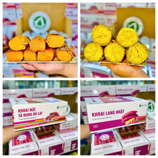 Combo Khoai Quý Trọng 6kg | Khoai Mật Tà Nung (3kg) + Khoai Nhật (3kg)