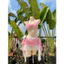Bikini Nữ Đi Biển 2 Mảnh Kèm Chân Váy Ren Siêu Xinh – Set Đồ Tắm 2 Chi Tiết 3 Màu Hot Trend – Size S M L (40-70kg)