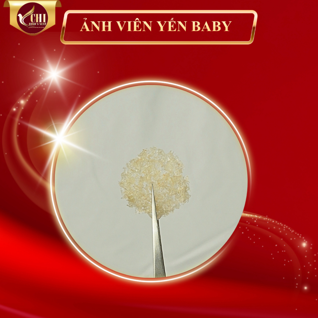 Combo 10 Túi Yến Tinh Chế Vụn Baby  - Hỗ Trợ Cho Bé Biếng Ăn , Tăng Đề Kháng   -  Yến Sào Yén Chi - Yến Tinh Chế YETC 00
