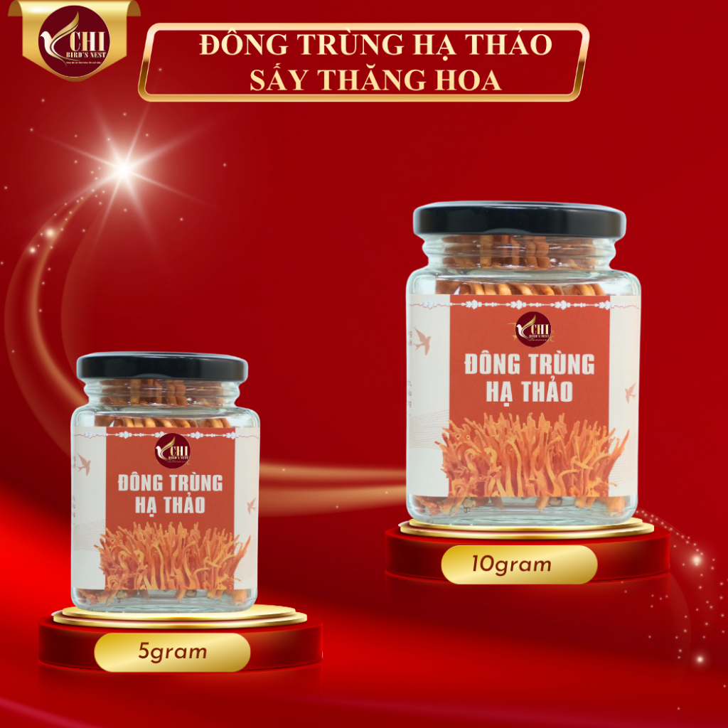Đông Trùng Hạ Thảo Loại 1 Sấy Thăng Hoa loại 10 gram