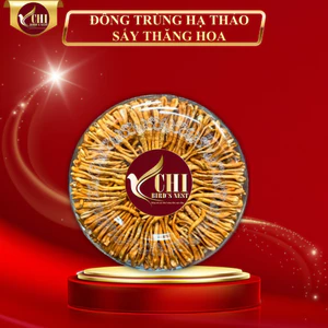 Đông Trùng Hạ Thảo Loại 1 Sấy Thăng Hoa