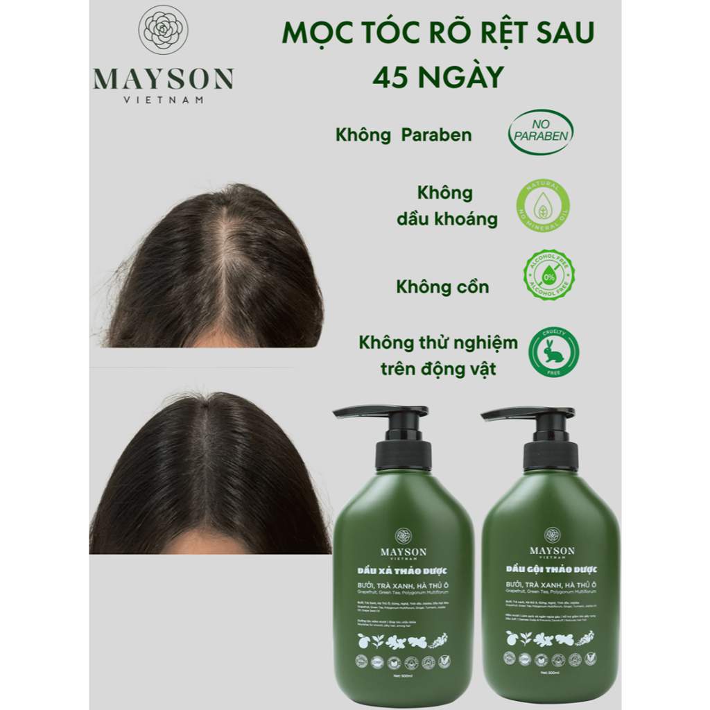 Cặp Gội Xả Thảo Dược Bưởi - Hà Thủ Ô - Trà xanh - Gừng - Nghệ MaySon