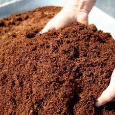 Mụn xơ dừa đã qua xử lý chát (đóng bao 50dm3, khoảng 4-6kg tùy độ ẩm) dùng trồng trọt như rau, hoa, các loại cây ...