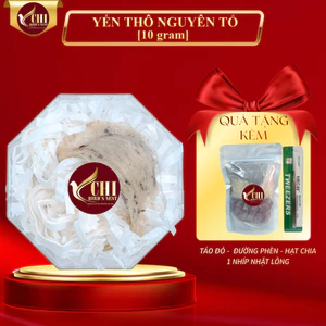 Tổ yến thô cao cấp 10gram - Yến Sào Yến Chi