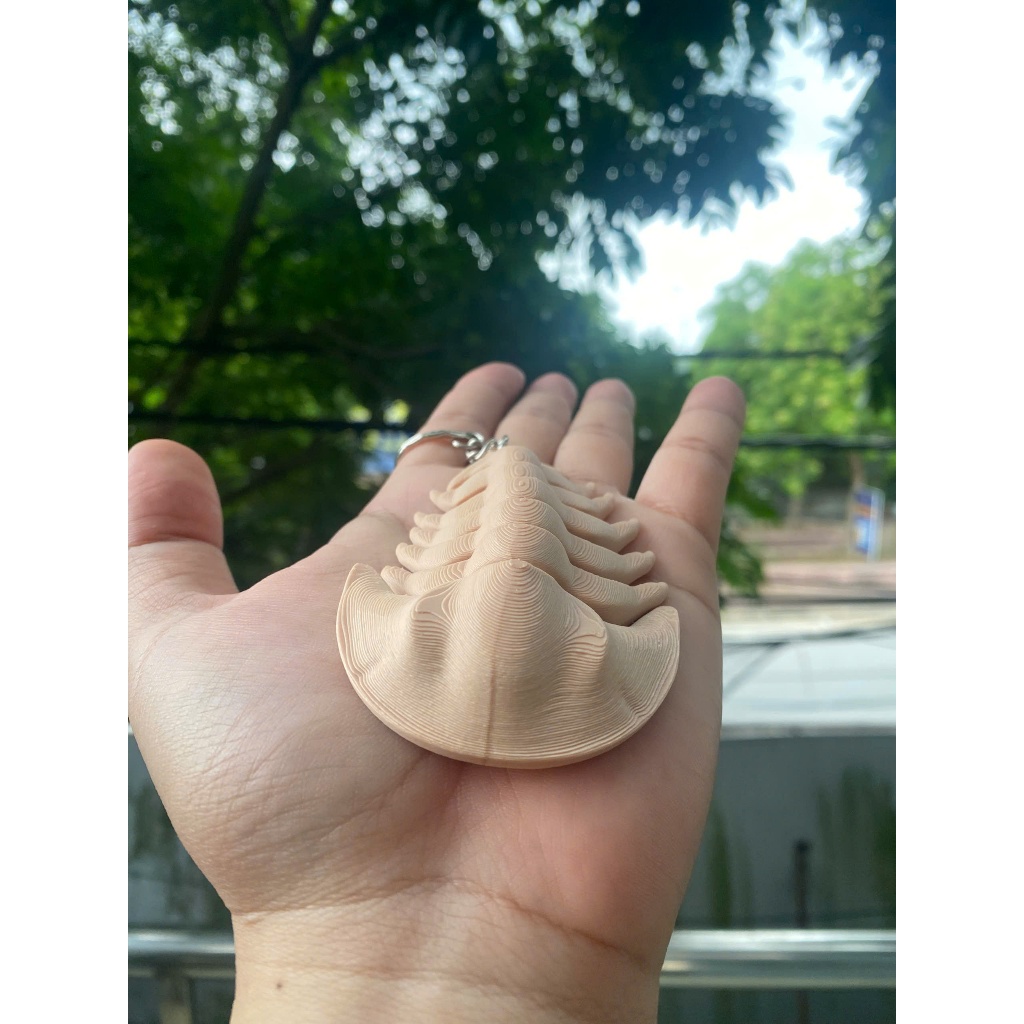 Móc Khóa Bọ Biển - Bọ Ba Thùy 3D Độc Lạ –  Khớp Linh Hoạt, Đồ Chơi Mini Giảm Stress